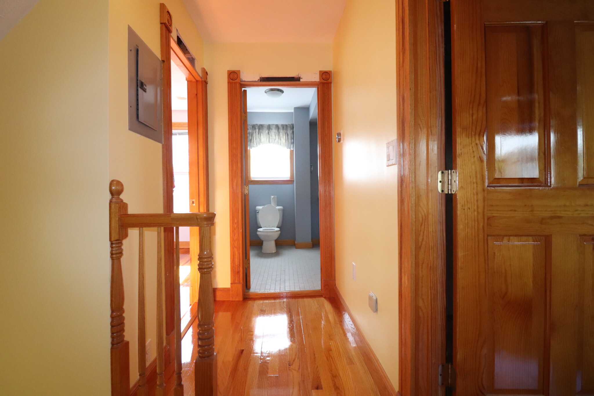 19 Faxon St, Newton