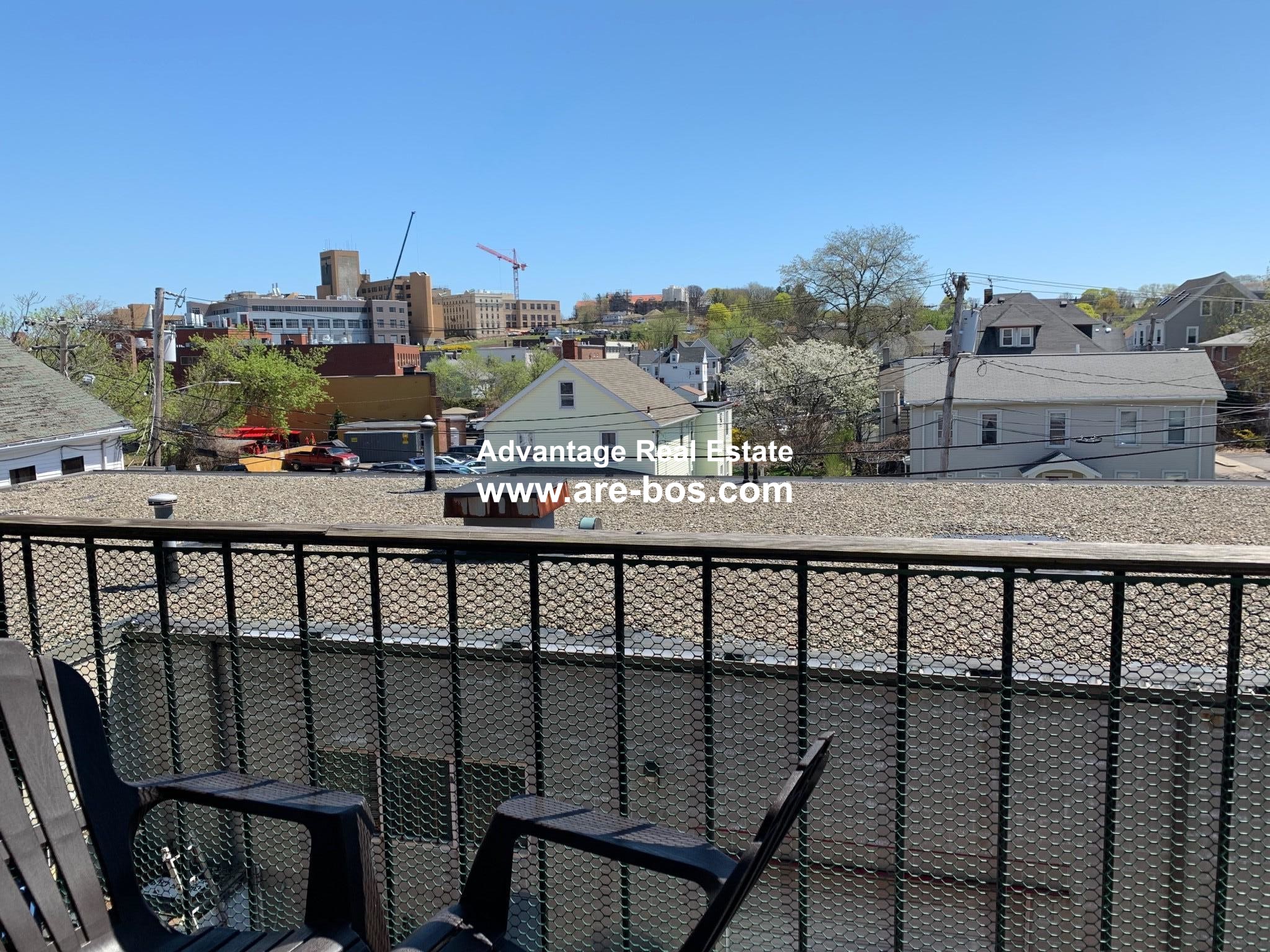 14 Chestnut Hill Ave, Brighton