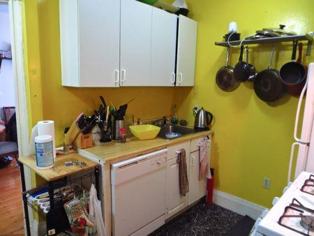 19 Burney St, Mission Hill