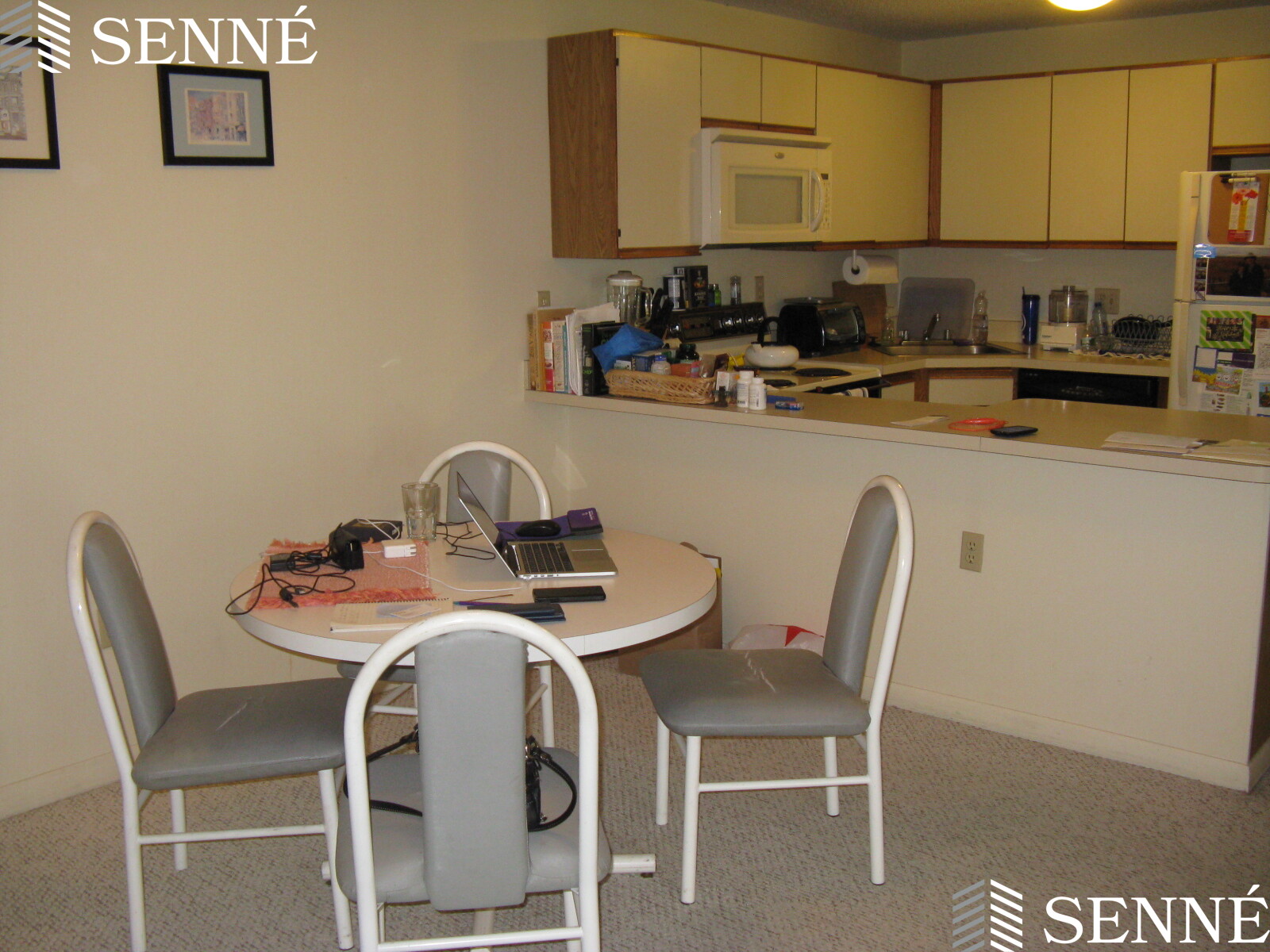 23 Elm St, Porter Square