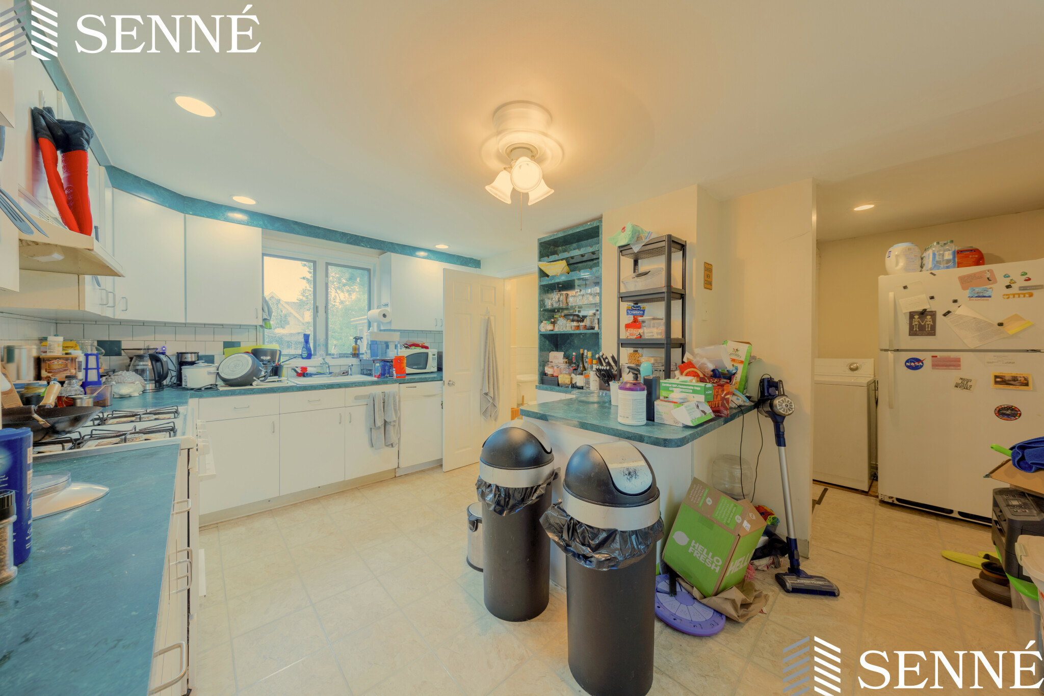 9 Marion St, Union Square