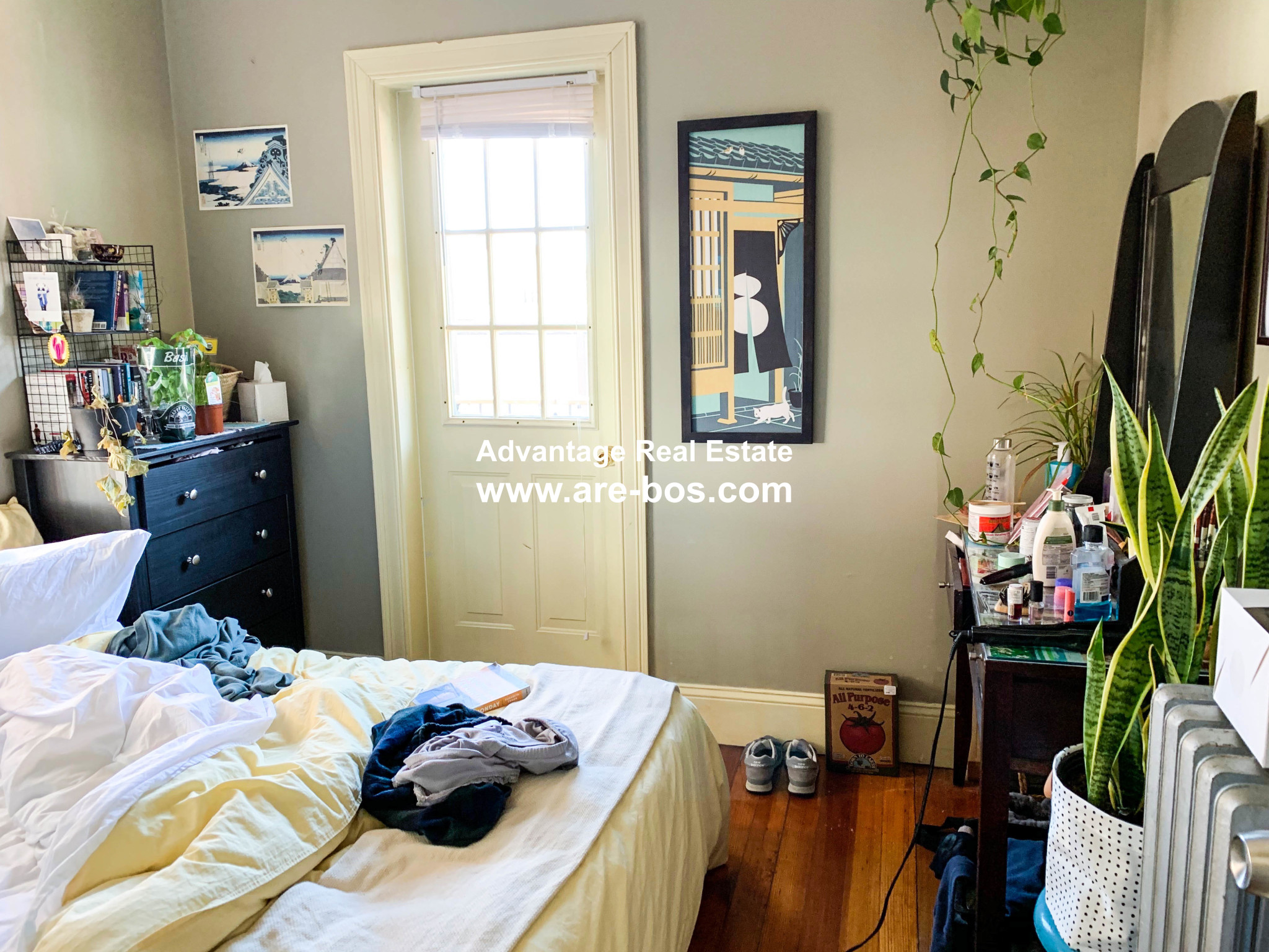 14 Chestnut Hill Ave, Brighton