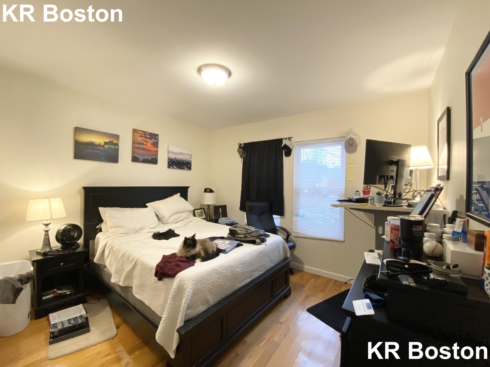 21 Weitz St, Allston