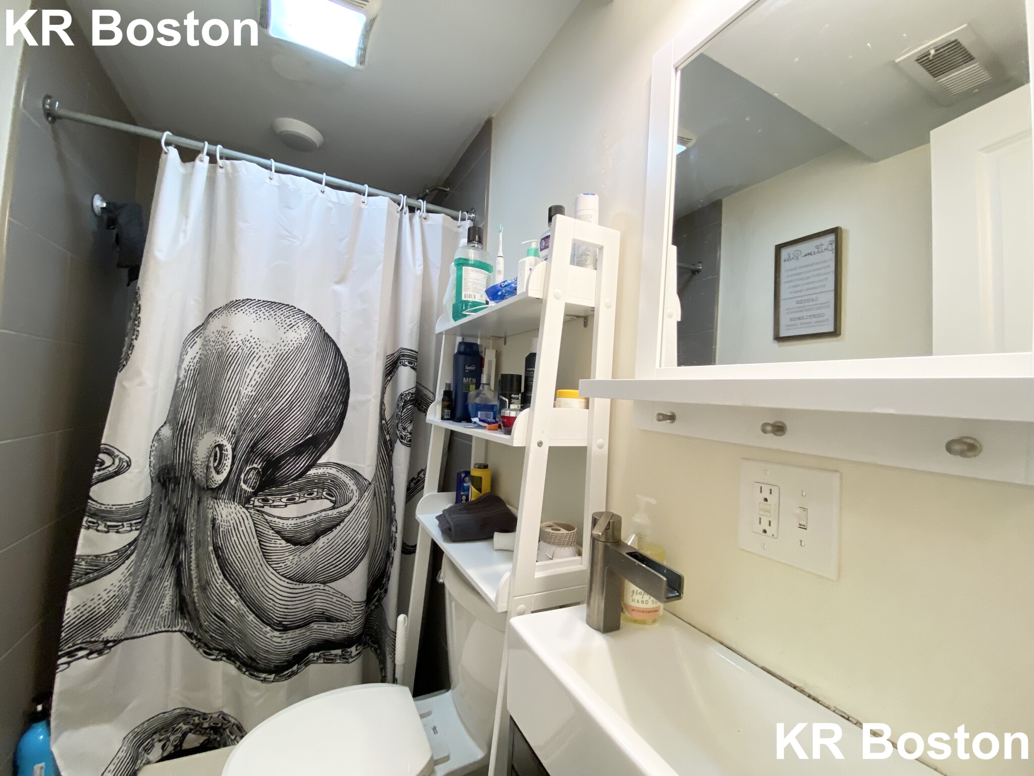 21 Weitz St, Allston