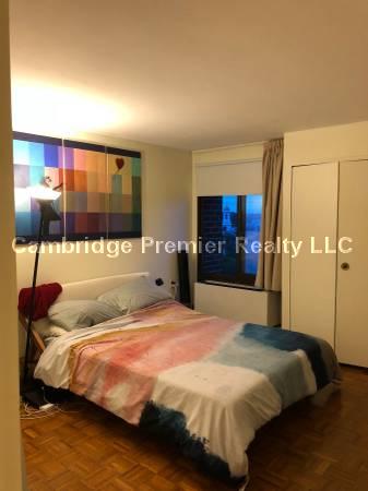 1105 Massachusetts Ave, Harvard Square