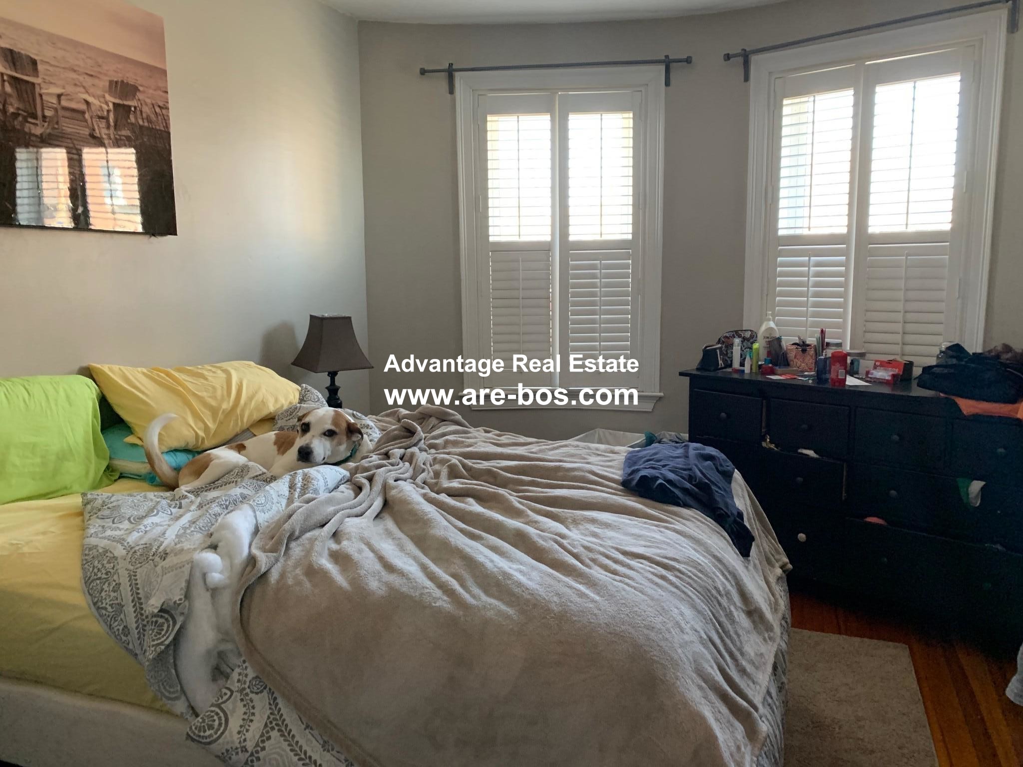 14 Chestnut Hill Ave, Brighton