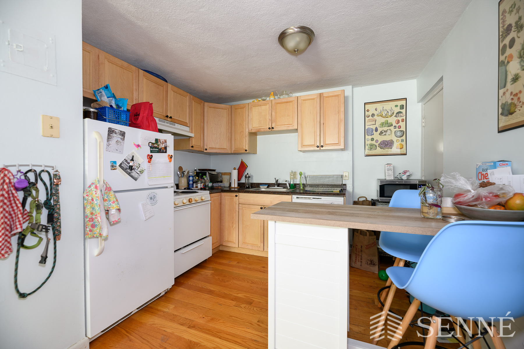 259 Summer St, Union Square