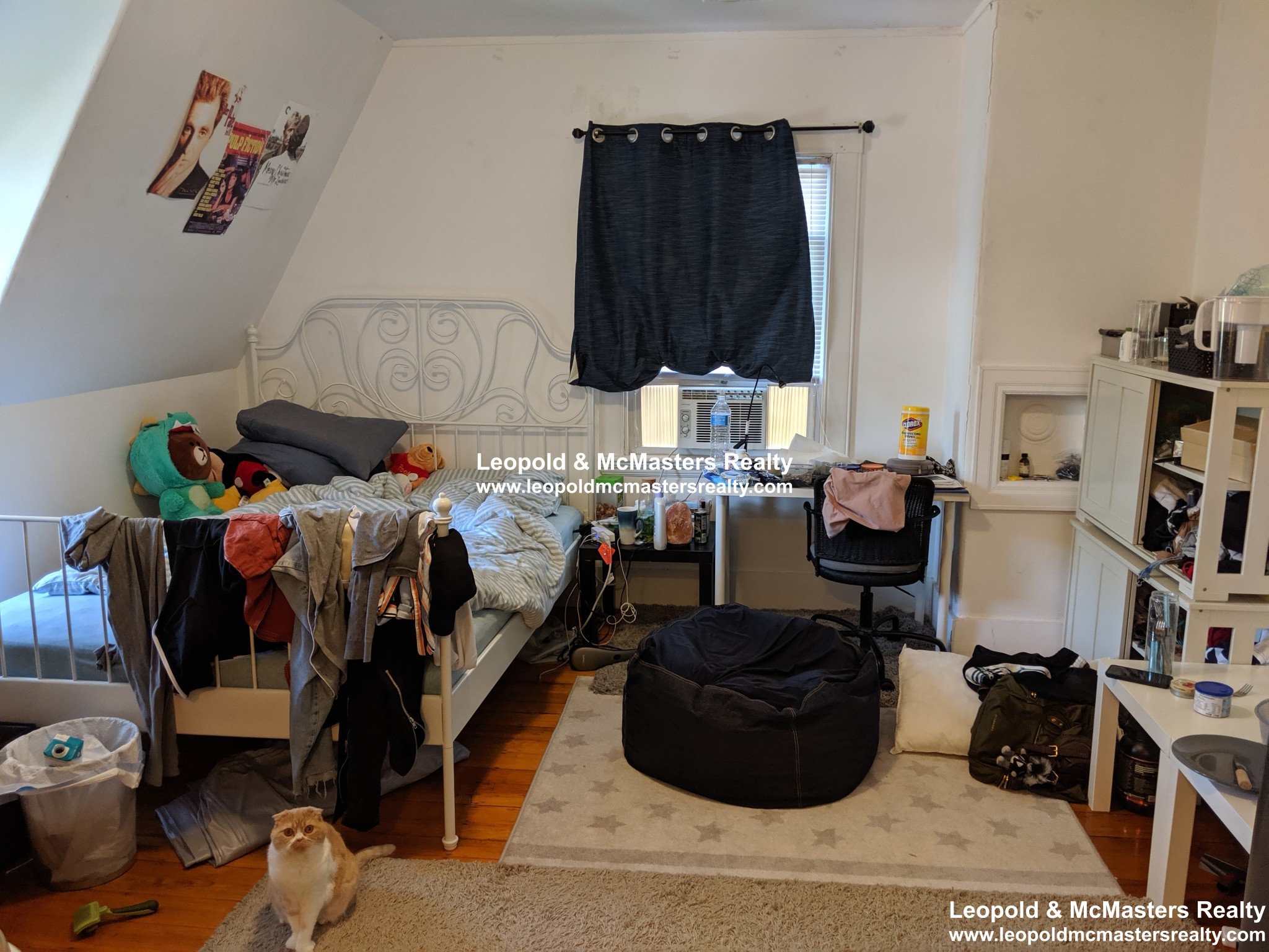 19 Braemore Rd, Brighton