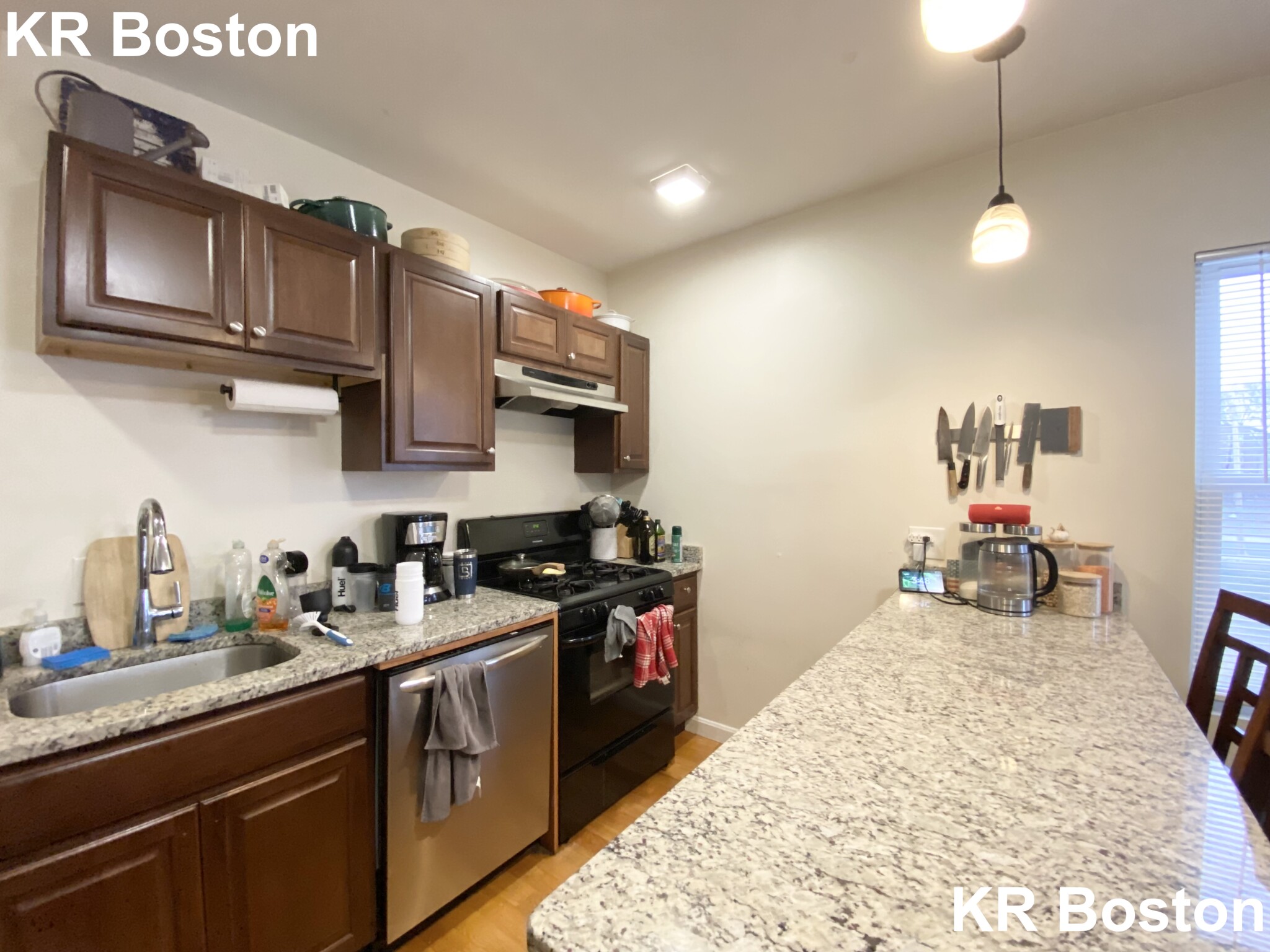 21 Weitz St, Allston