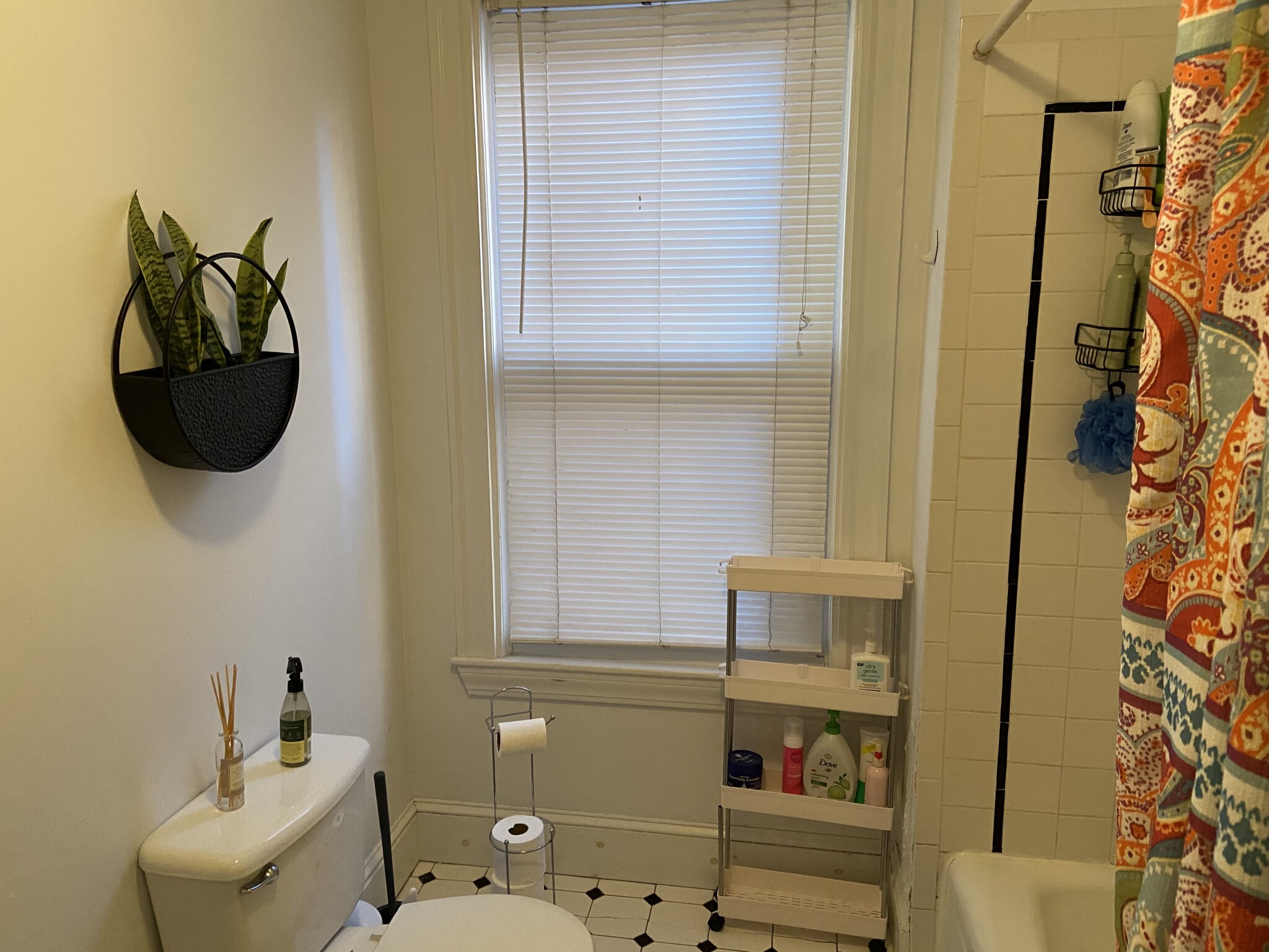 197 Green, Central Square