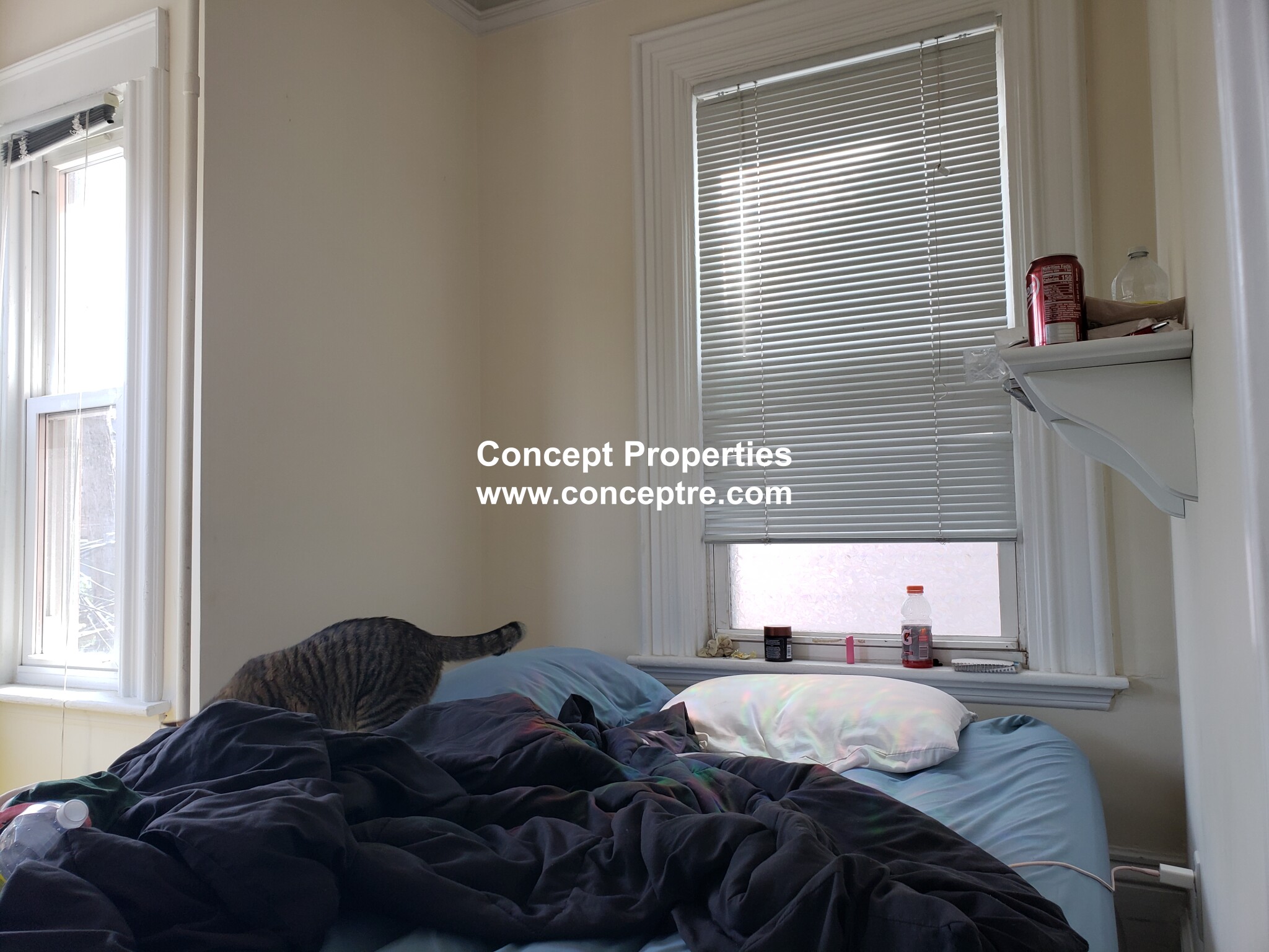 126 Saratoga St, East Boston