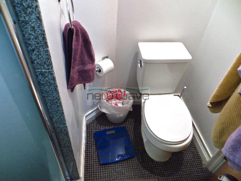 64 Louis Prang St, Fenway