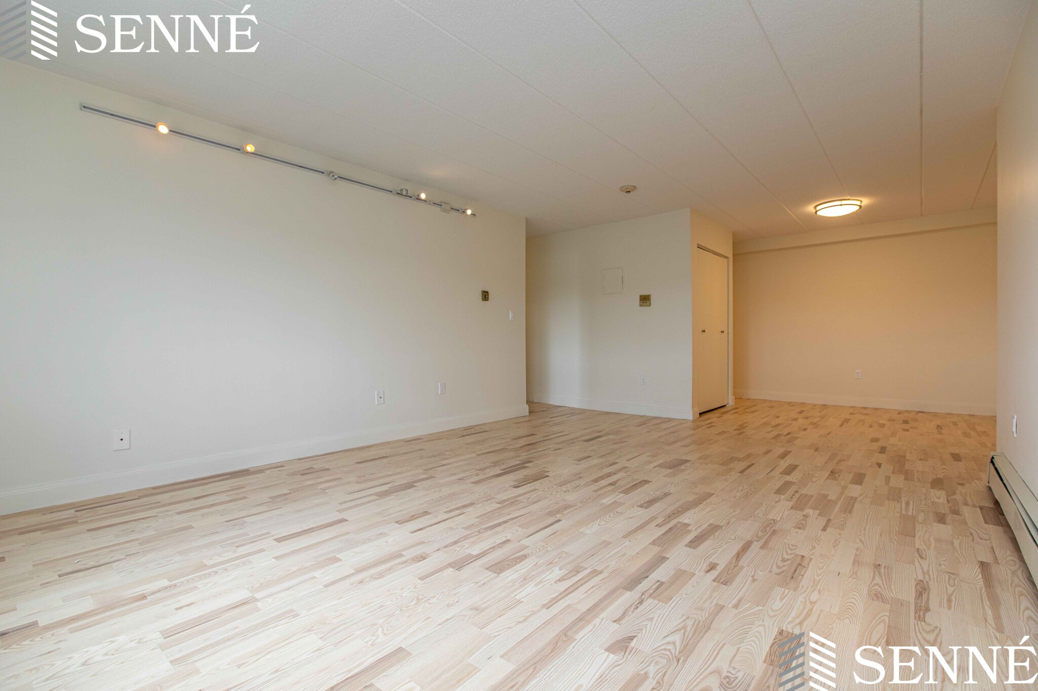 278 Harvard St, Porter Square