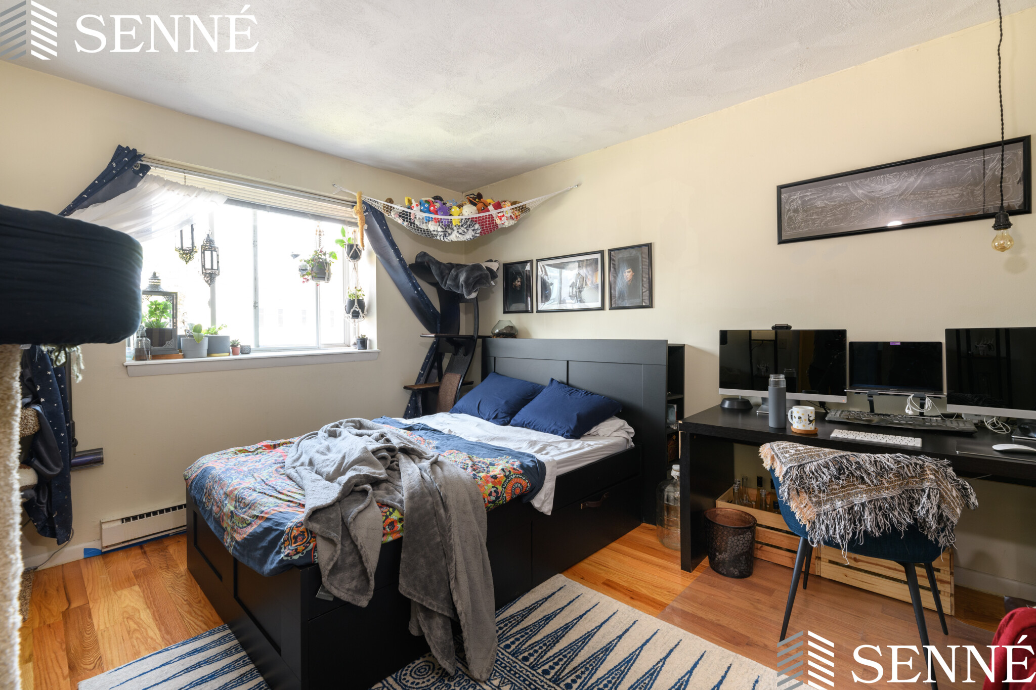 259 Summer St, Spring Hill