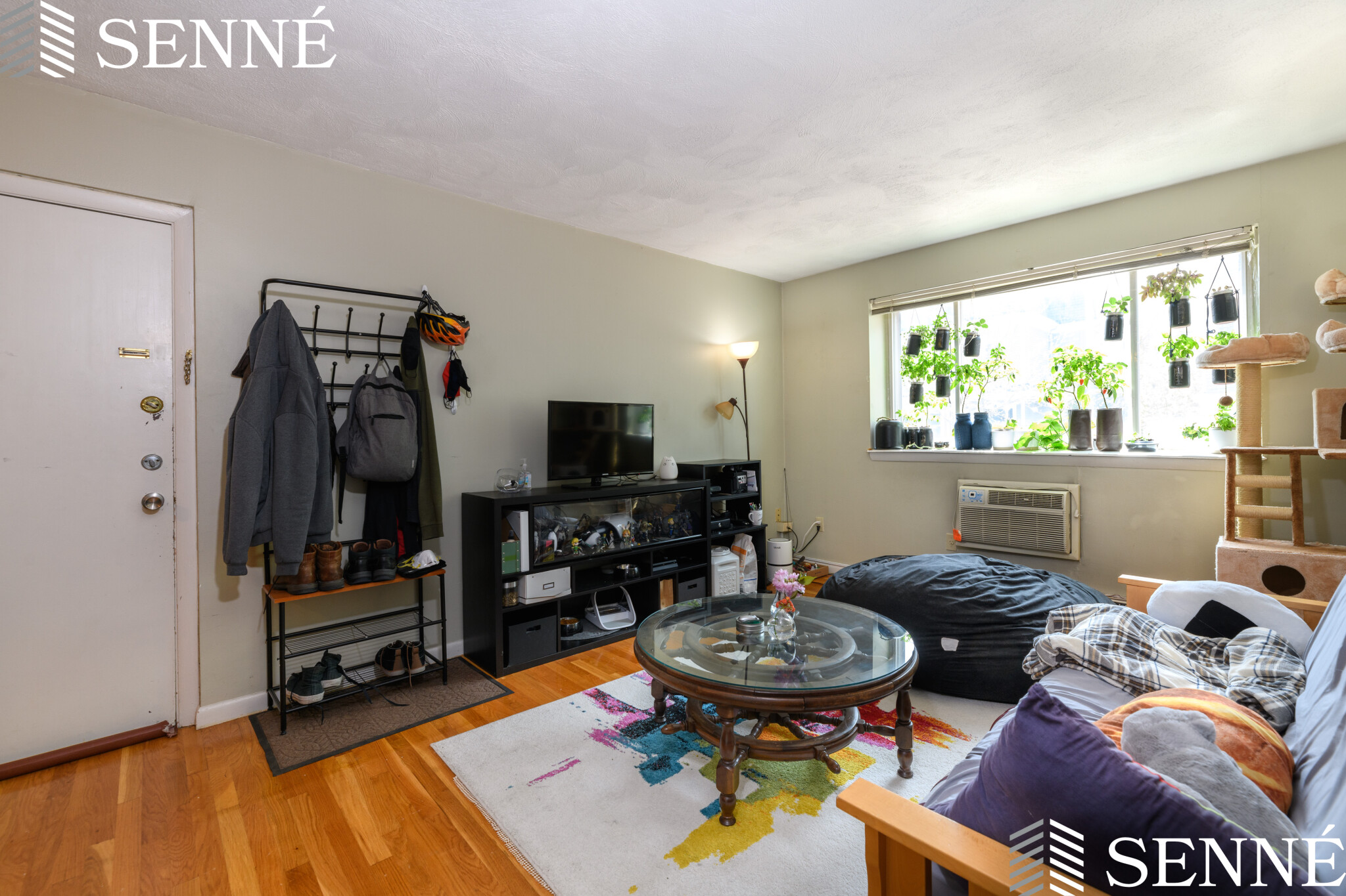 259 Summer St, Spring Hill