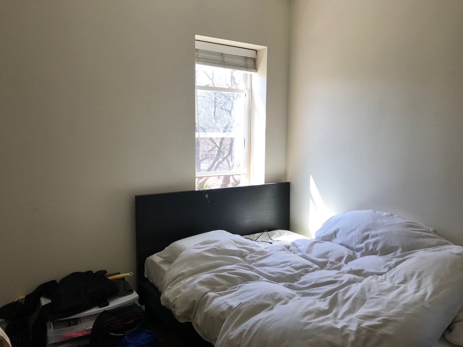 1801 Beacon St, Chestnut Hill