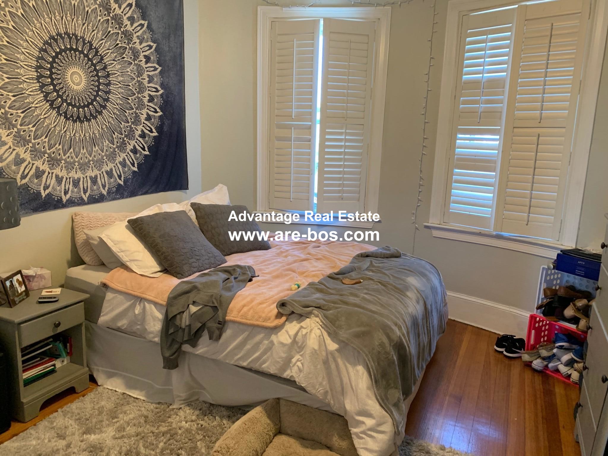 14 Chestnut Hill Ave, Brighton