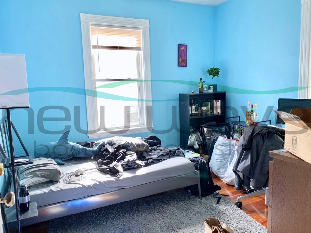 12 Bucknam St, Mission Hill