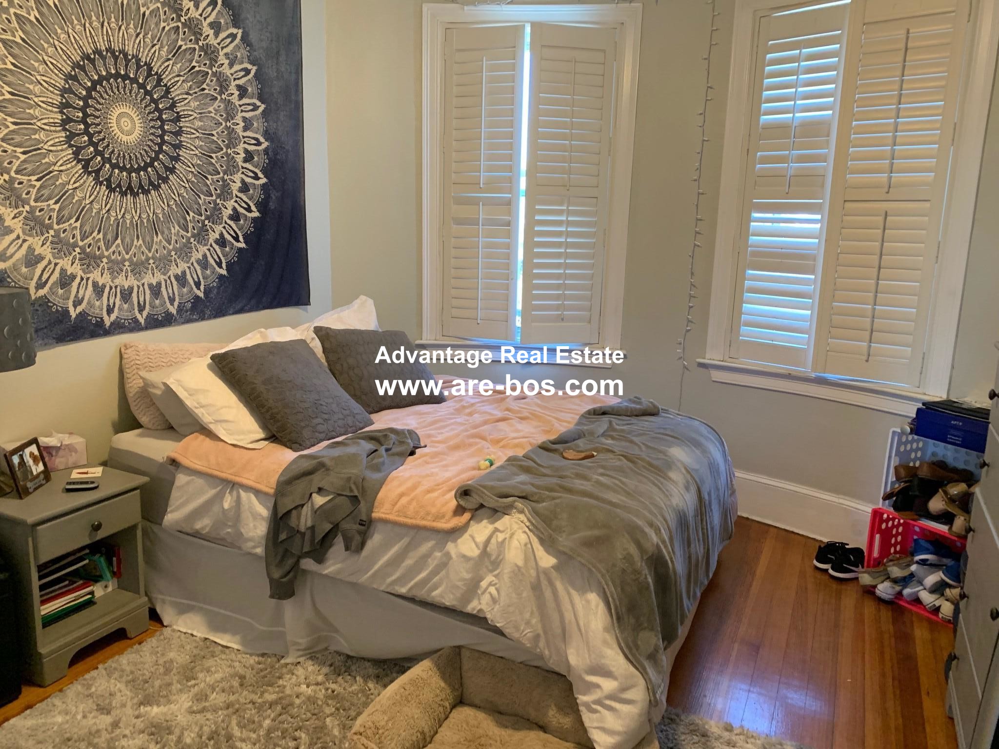 14 Chestnut Hill Ave, Brighton