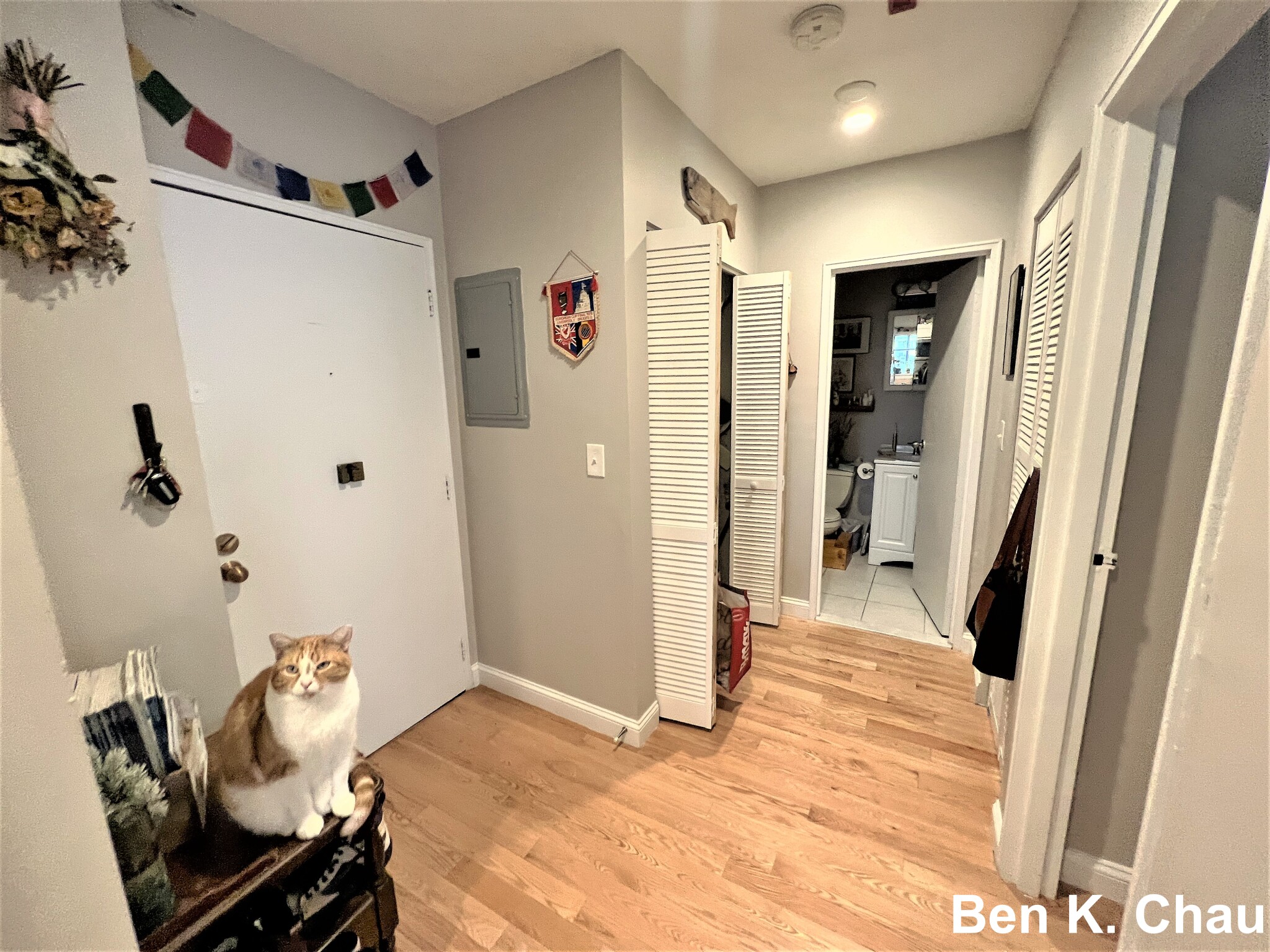 116 Tremont St, Brighton