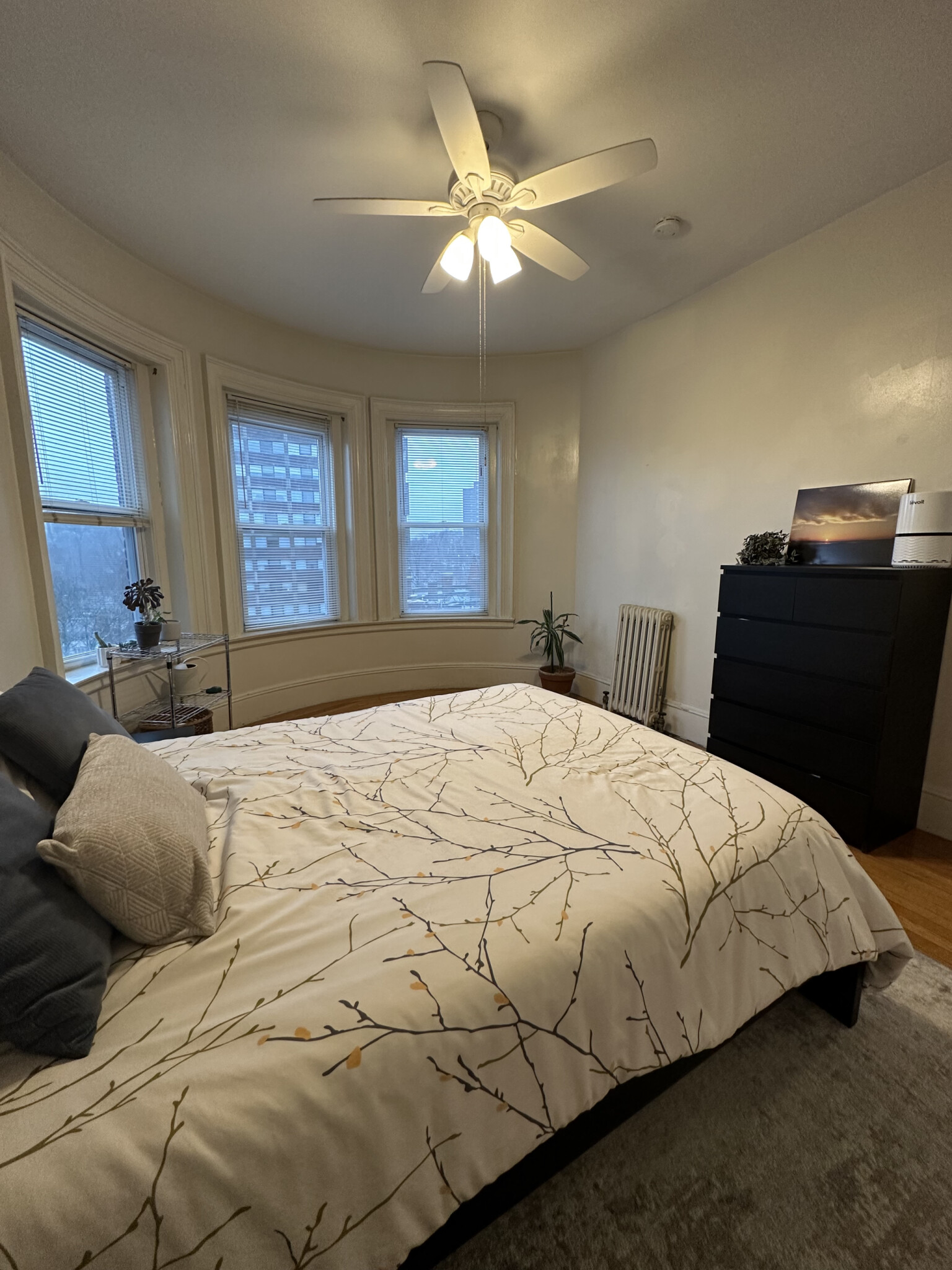 1477 Beacon St, Coolidge Corner