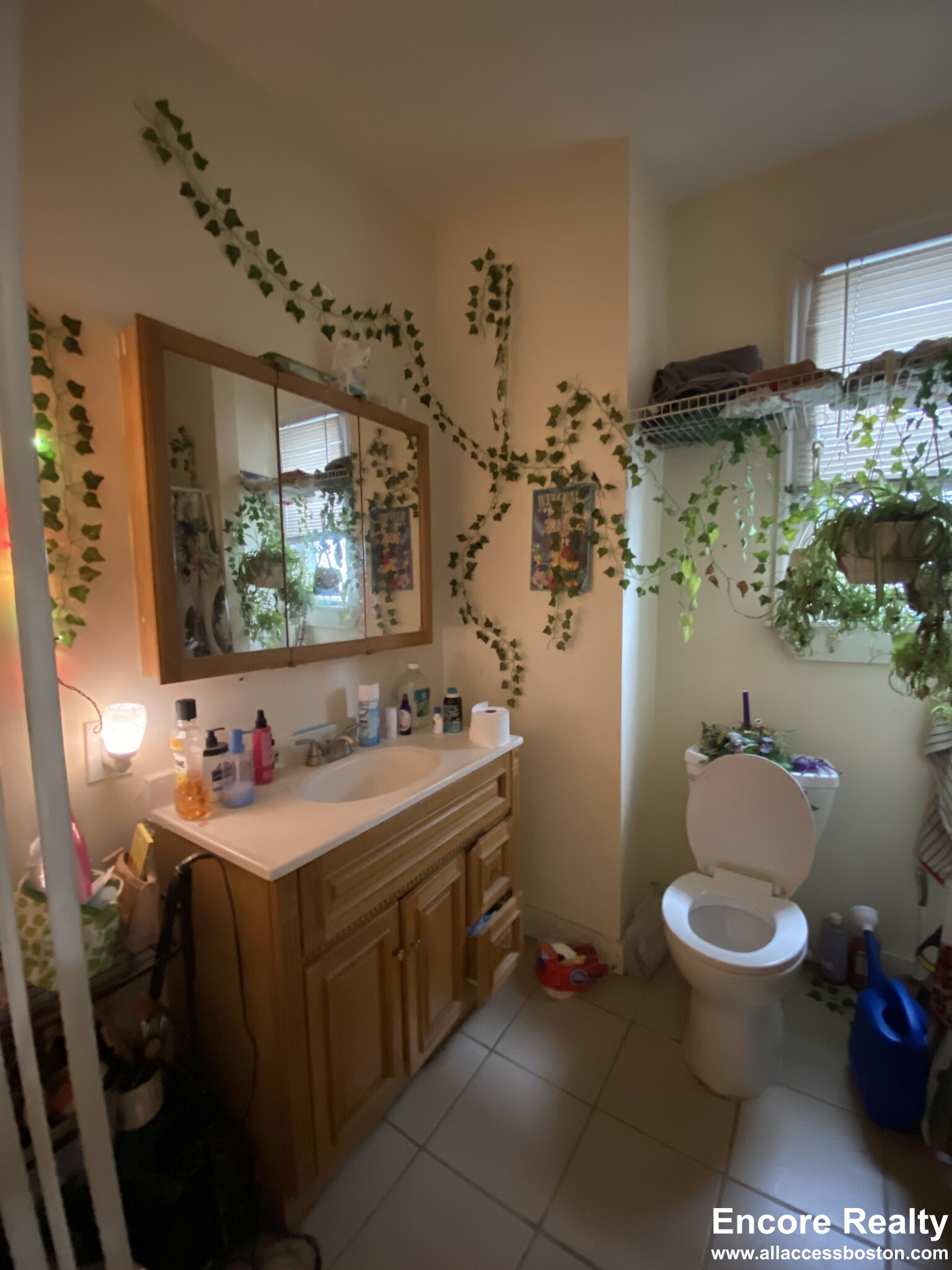 110 Murdock St, Brighton