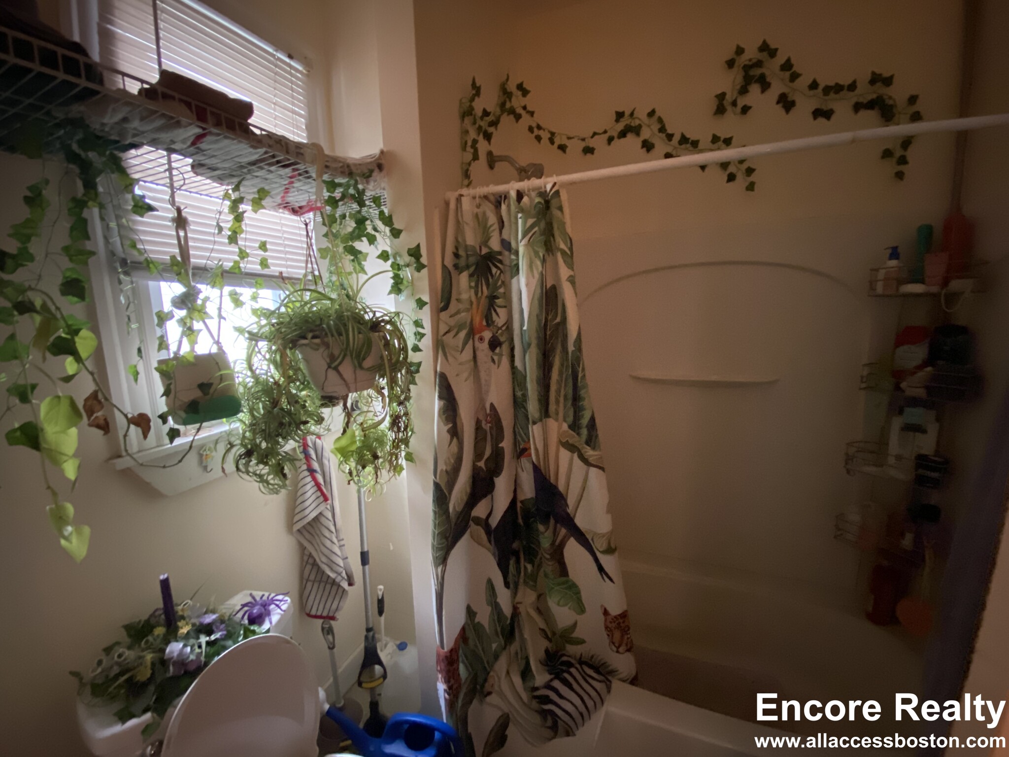 110 Murdock St, Brighton