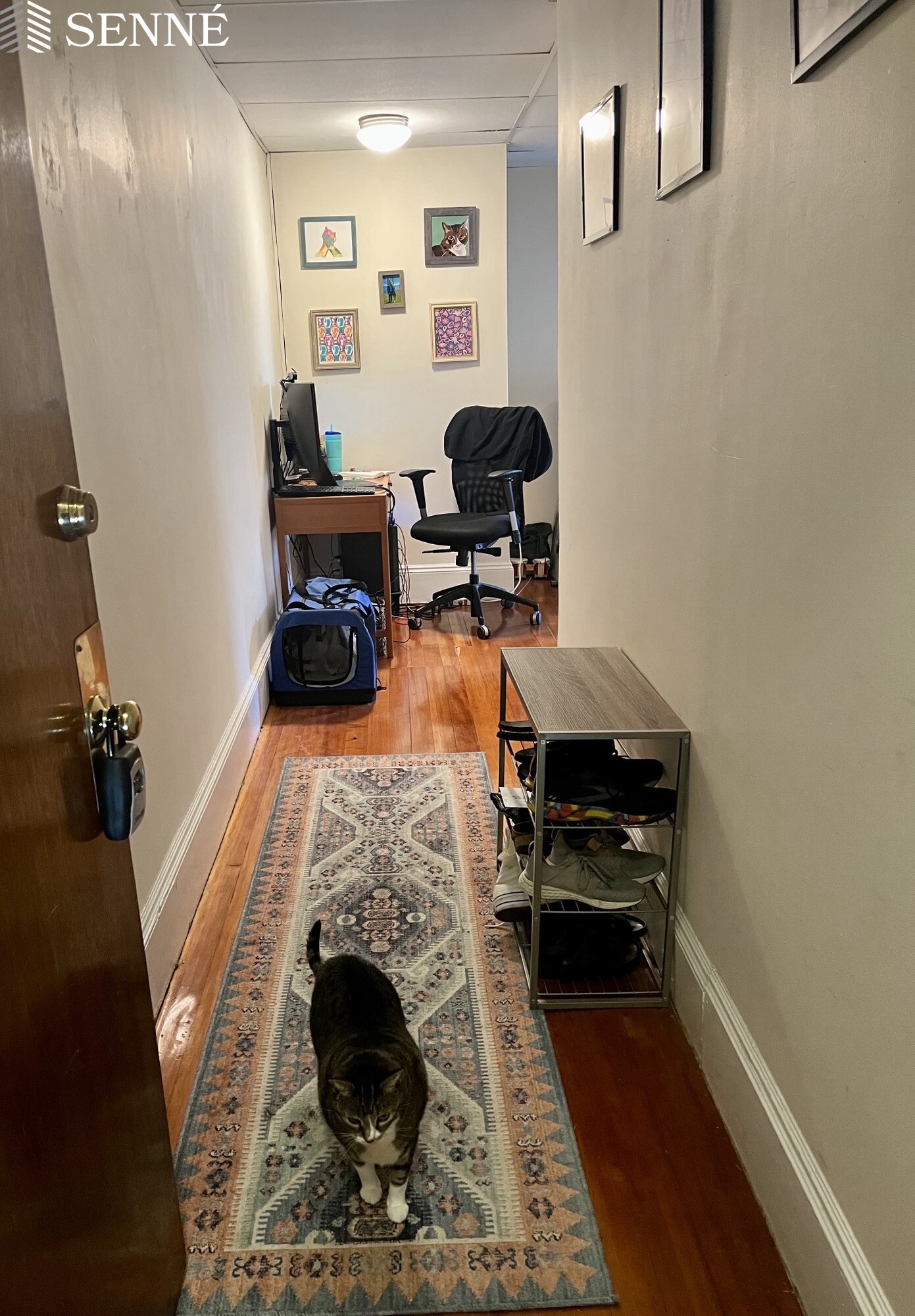 112 Thurston St, Winter Hill