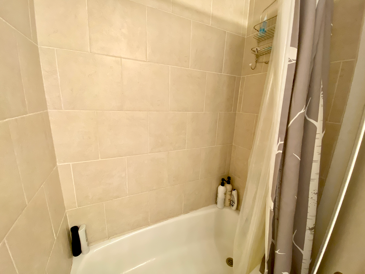 108 Myrtle St, Beacon Hill