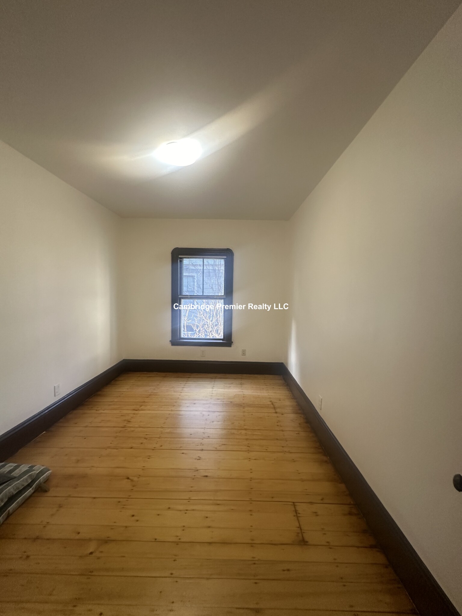 42 Francesca Ave, Davis Square