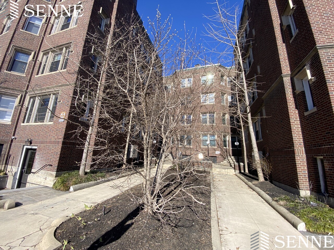 5 Linnaean St, Neighborhood Nine