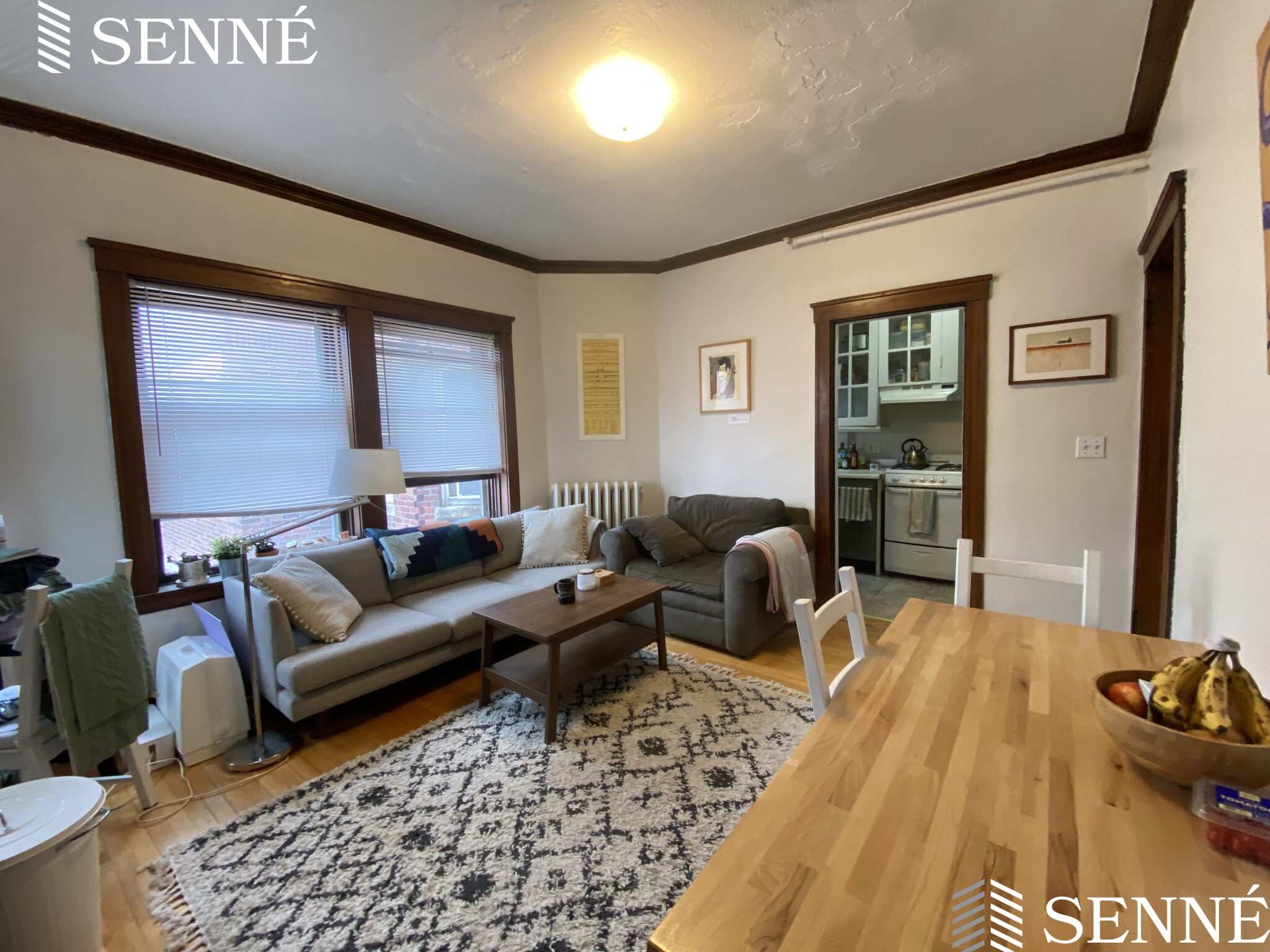 5 Linnaean St, Neighborhood Nine