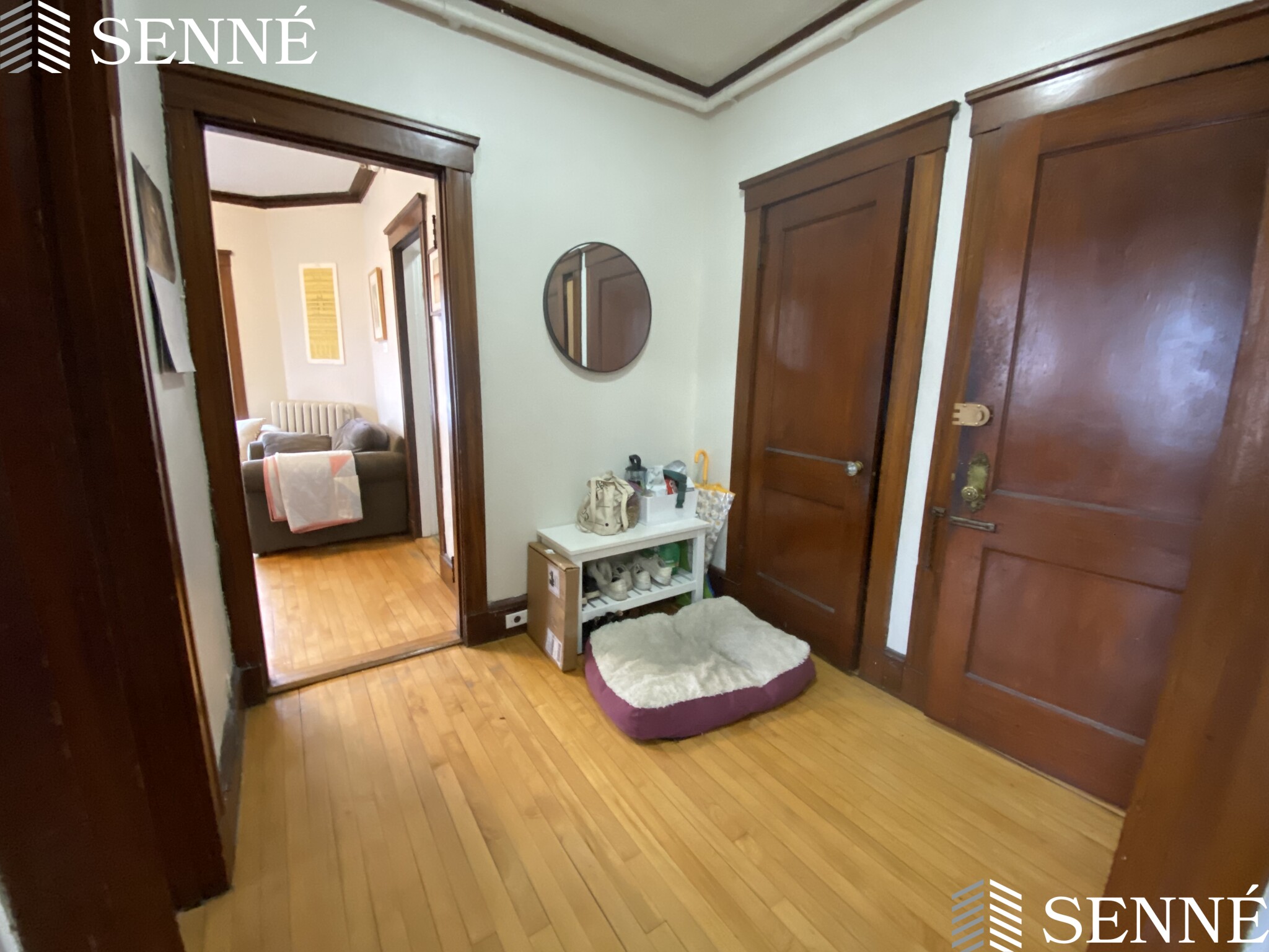 5 Linnaean St, Neighborhood Nine