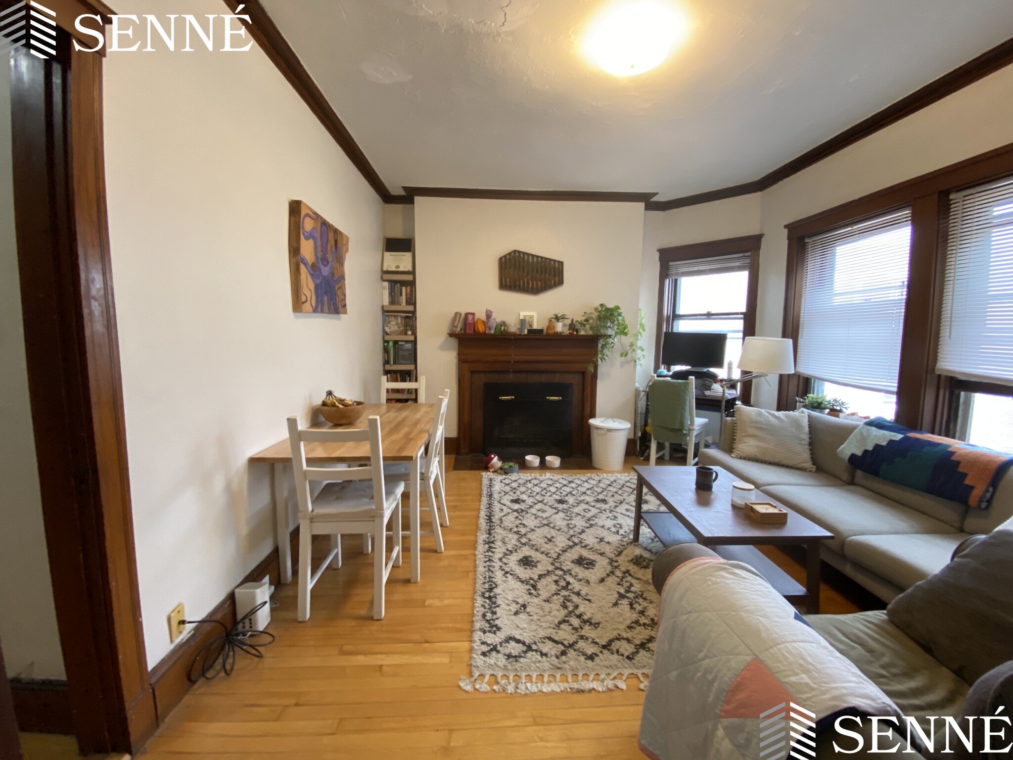 5 Linnaean St, Neighborhood Nine