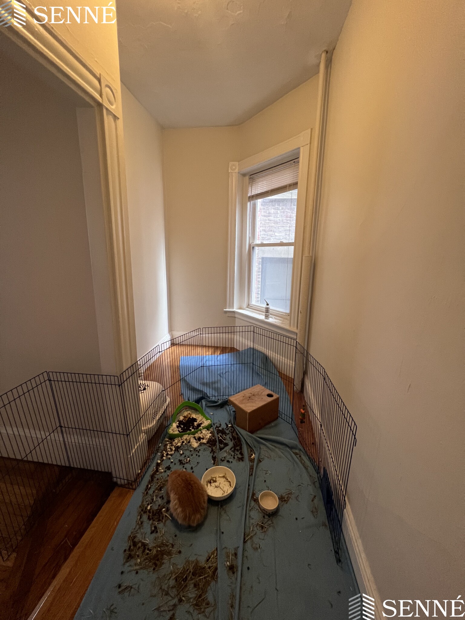 891 Massachusetts Ave, Central Square