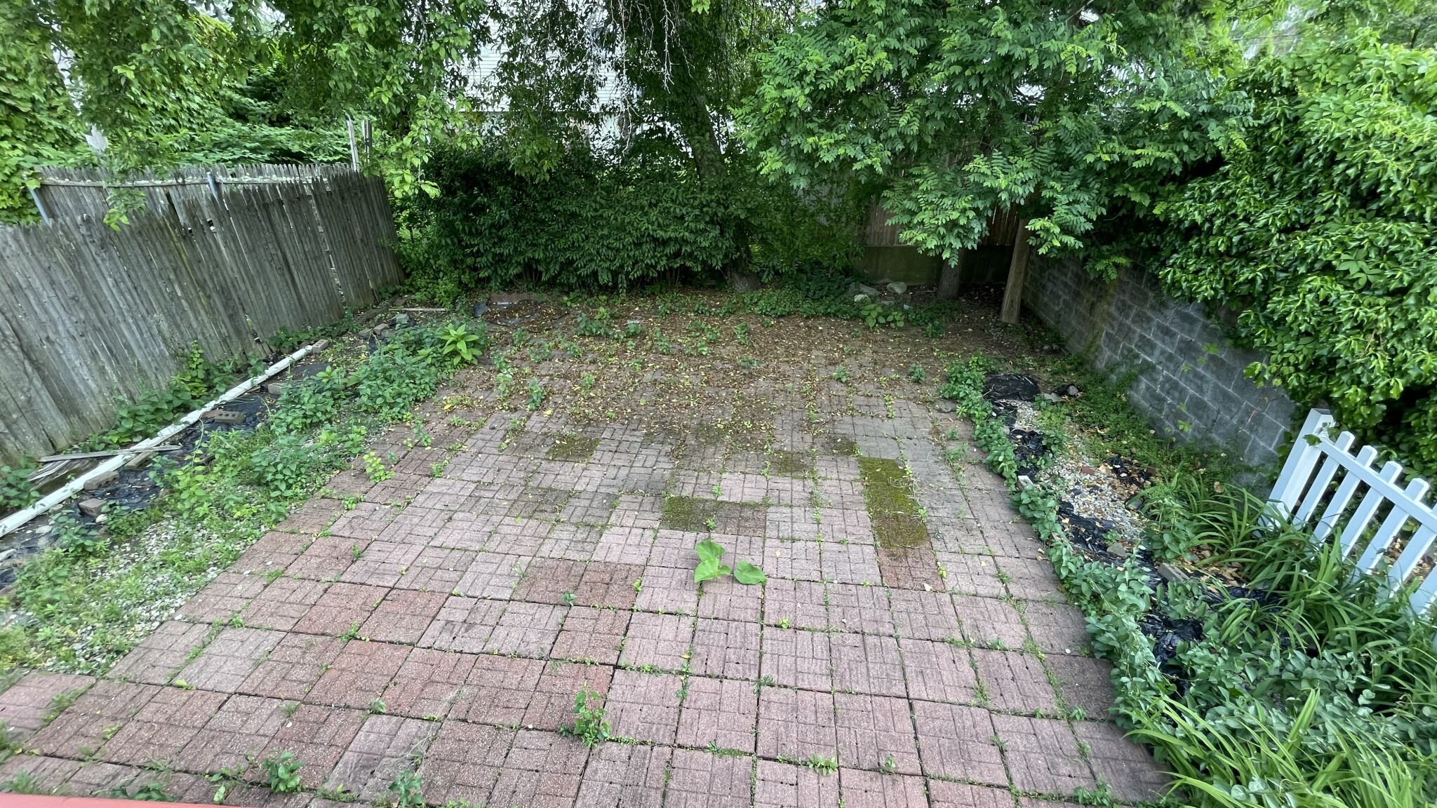 38 Pomeroy St, Allston