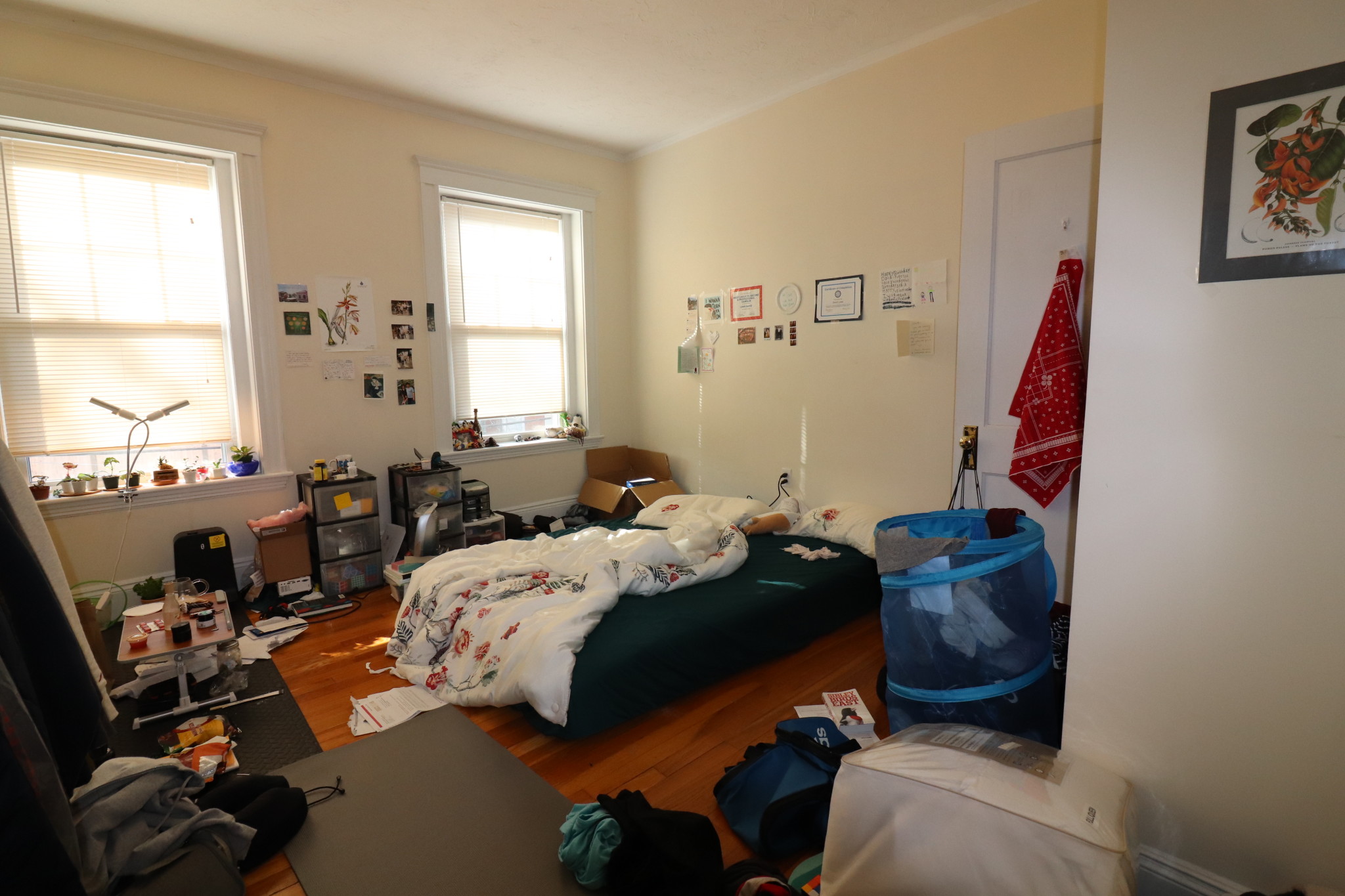 191 Winthrop, Washington Square