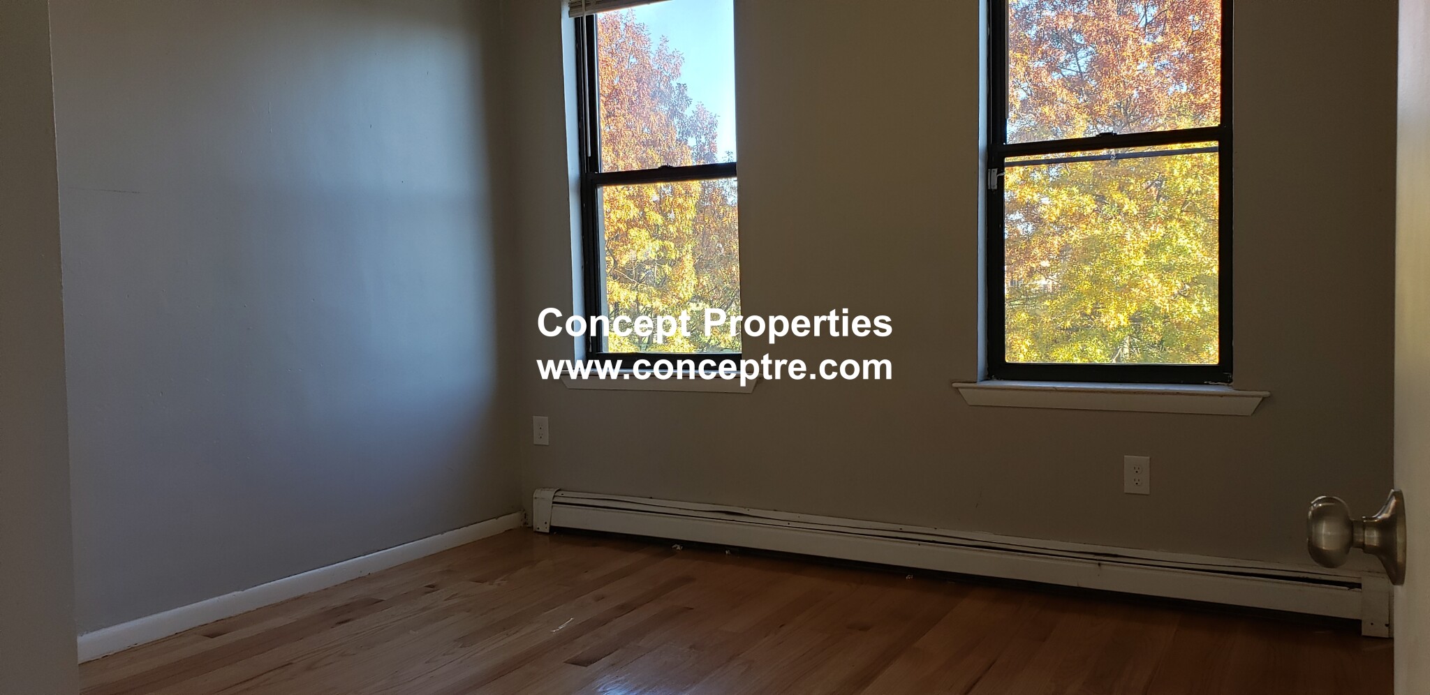 63 Normandy St, Dorchester