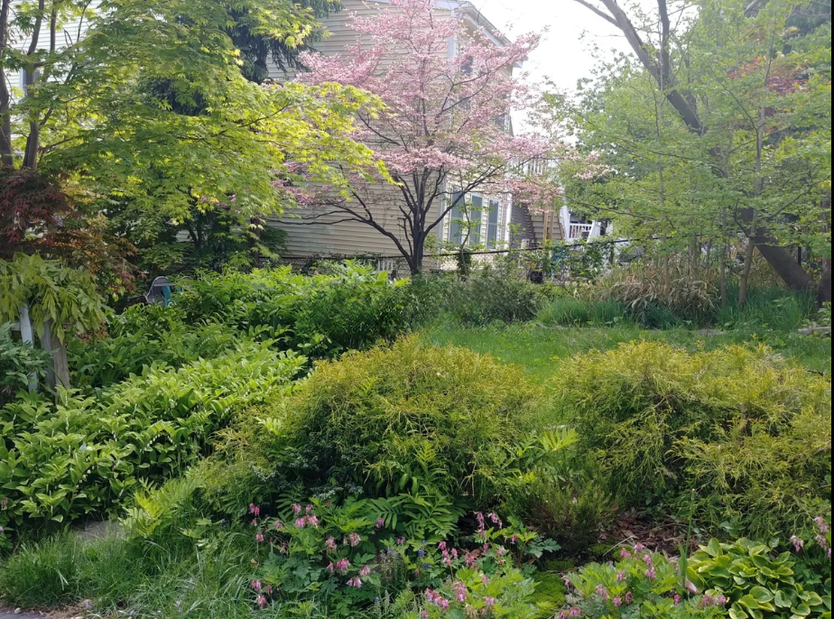 74 Fremont St, South Medford