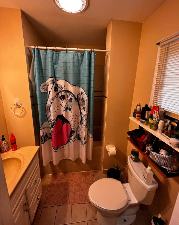 44 Edgar Ave, Winter Hill