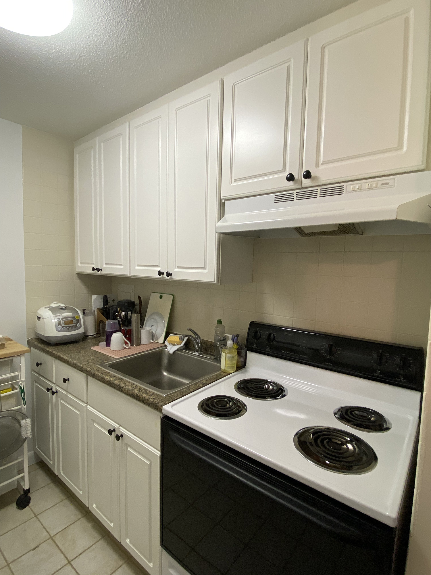 15 Francis St, Longwood