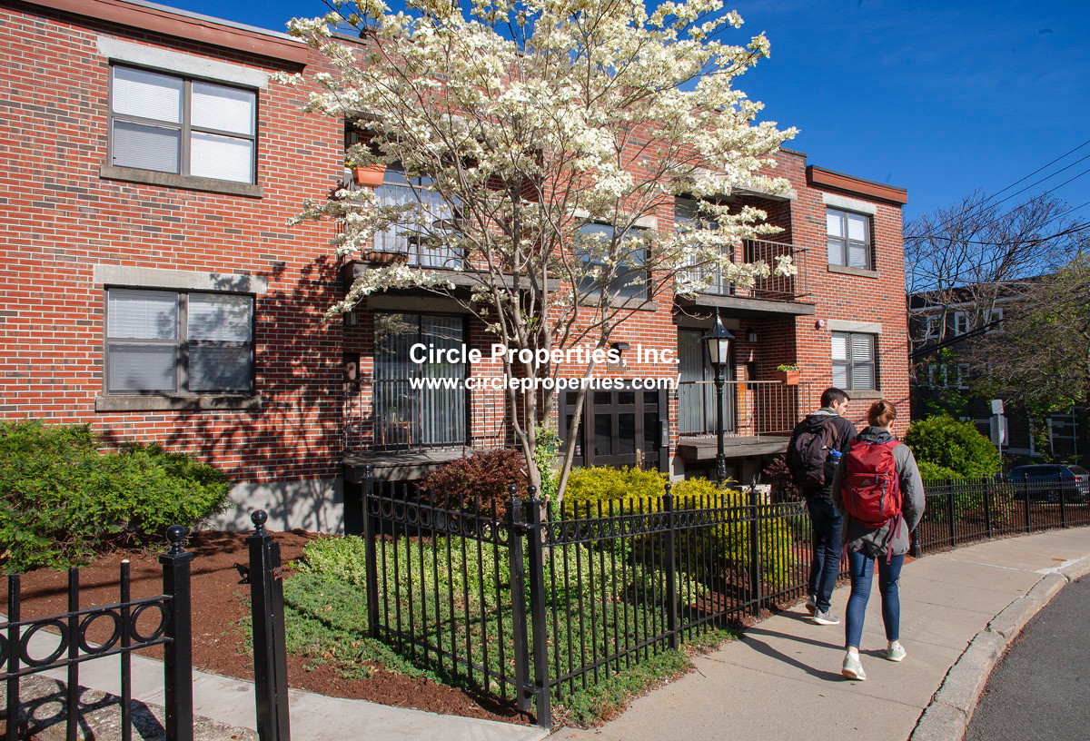 11 Darling St, Mission Hill