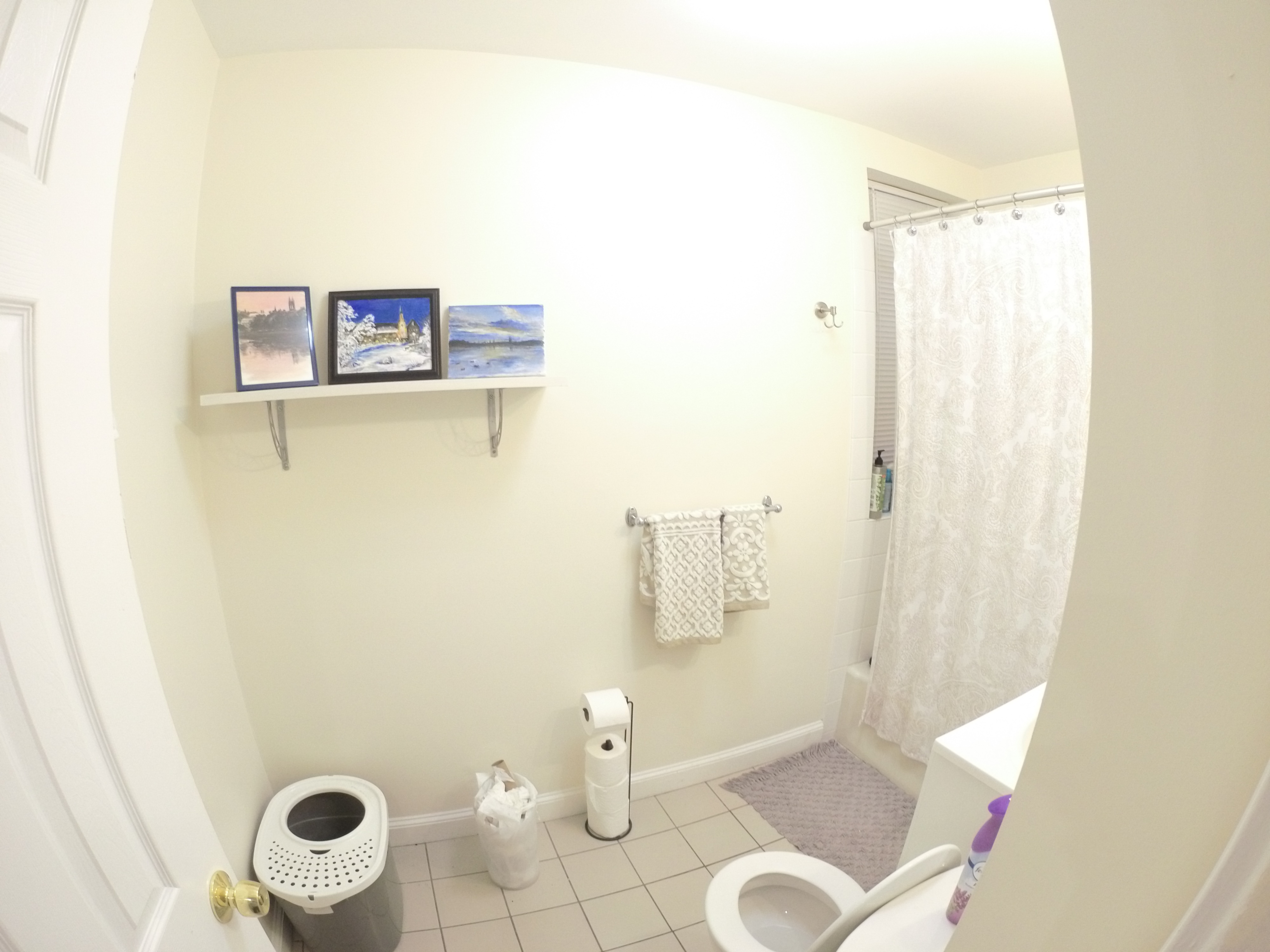 371 Chestnut Hill, Brighton