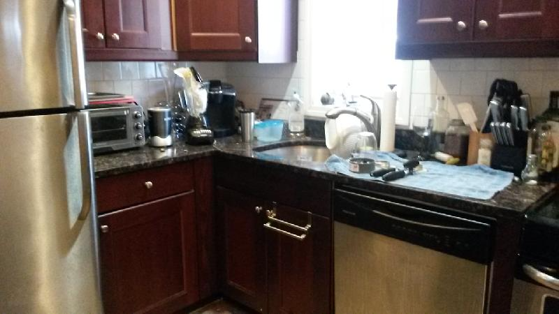 7 Iroquois St, Mission Hill