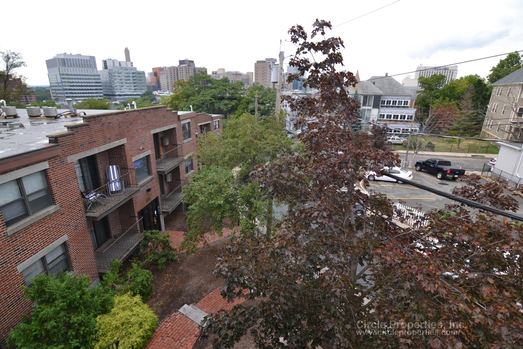 11 Darling St, Mission Hill