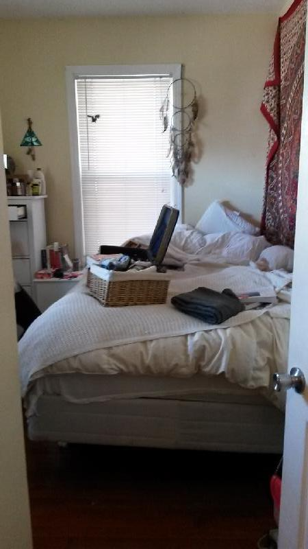 7 Iroquois St, Mission Hill