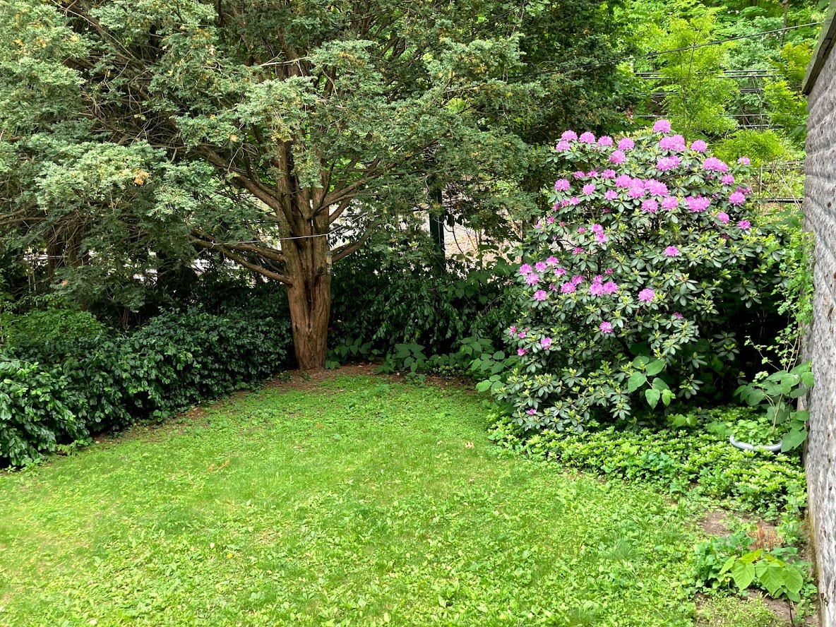 112 Sumner Rd, Brookline Hills