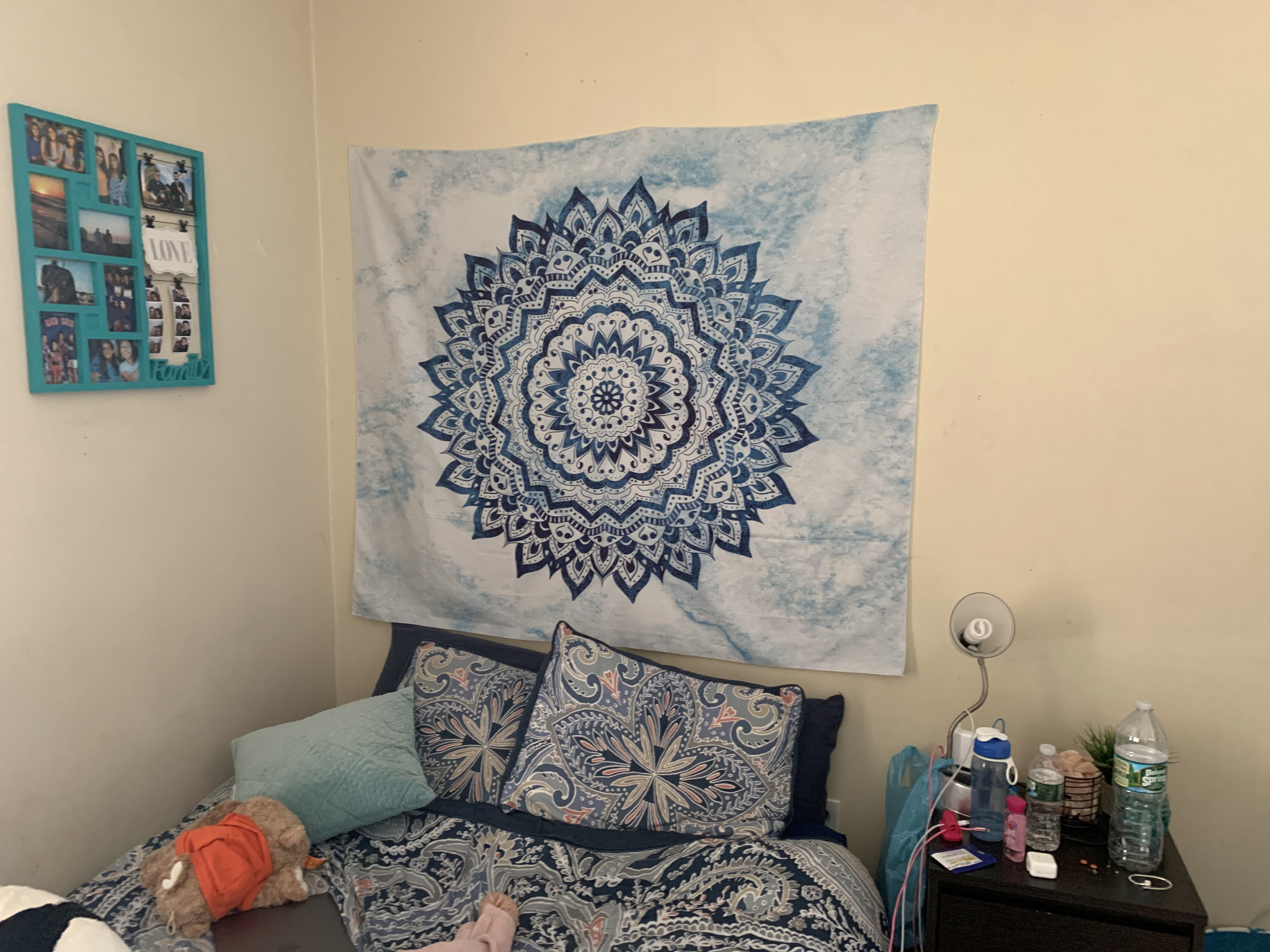 26 Darling St, Mission Hill