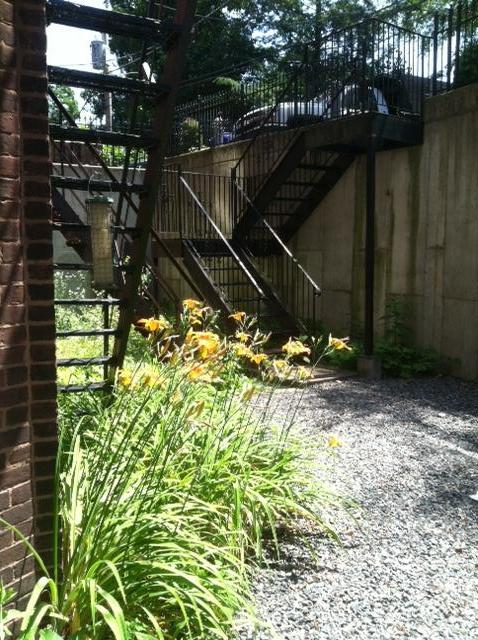 1077 Beacon St, Brookline Village