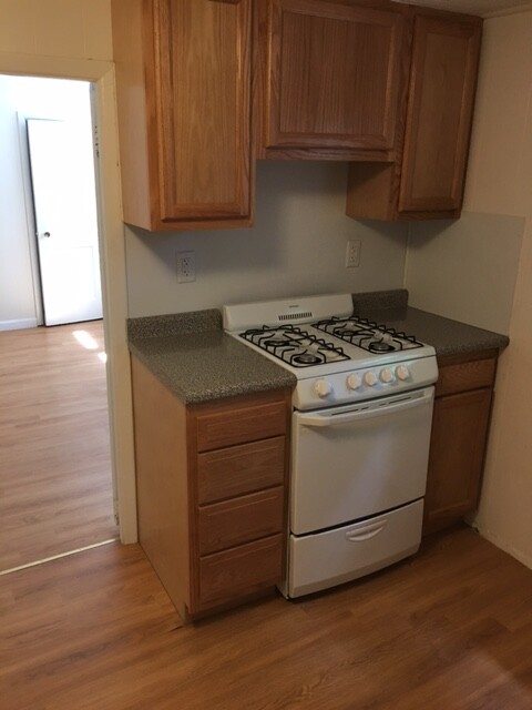 117 Sutherland Rd, Brighton